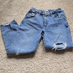 Abercrombie & Fitch High Rise Mom Jean 27/4S